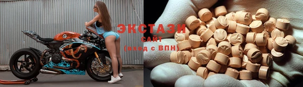 ECSTASY Алзамай