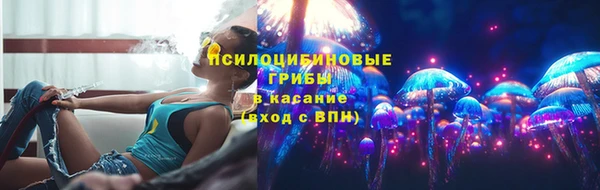 ECSTASY Алзамай
