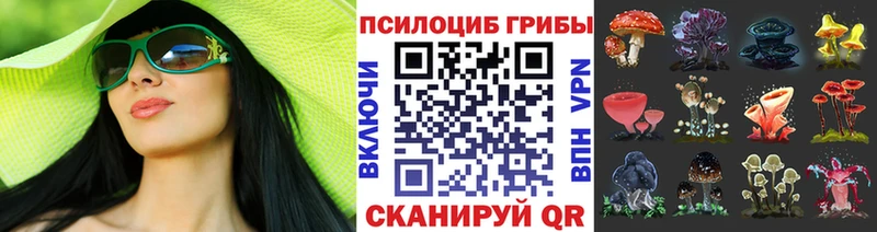 Галлюциногенные грибы Magic Shrooms цена Приморск